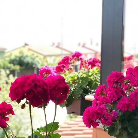 Apartment Monte Marko *